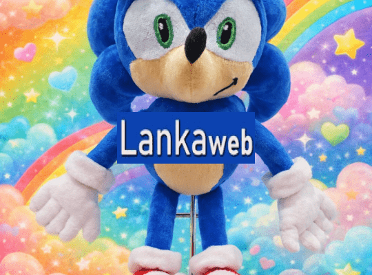 HANDMADE CHARACTER SOFT TOY Sonic the Hedgehog