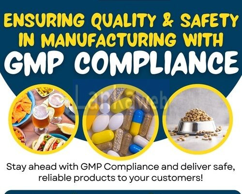 Why Choose GMP Certification Services in Egypt