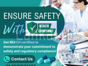 Get REACH Certification Services in South Africa