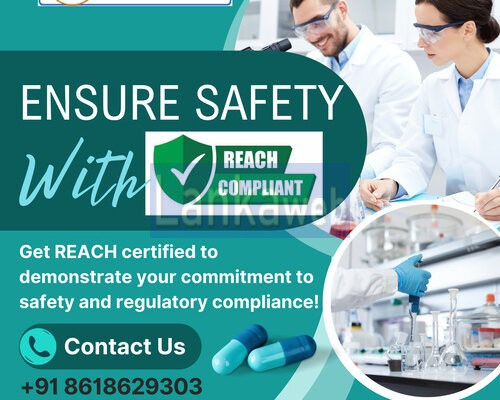 Get REACH Certification Services in South Africa