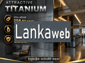 TITANIUM FLOORING
