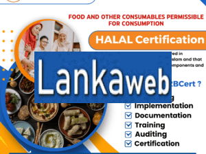 HALAL Consultants Services in New York