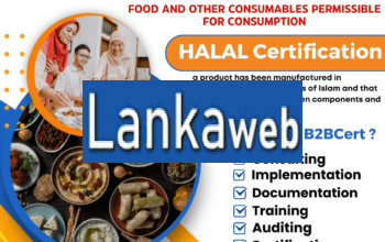 HALAL Consultants Services in New York