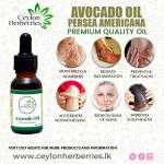 Avocado Oil – Persea americana 15ml