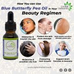 Blue Butterfly Pea Oil – Clitoria ternatea  15ml