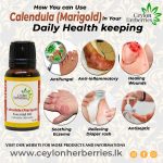 Calendula (Marigold) Essential oil – Calendula Officinalis 15ml