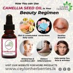 Camellia seed oil-Camellia oleifera  30ml