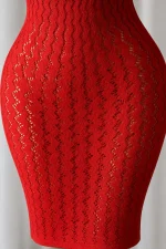 Red Backless Halter Lace Dress - Image 3